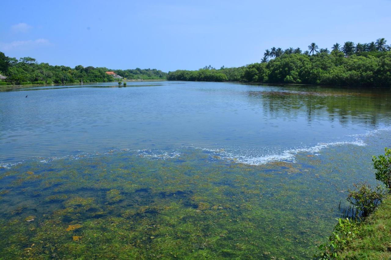 Randu Homestay And Restaurant Tangalle Ngoại thất bức ảnh